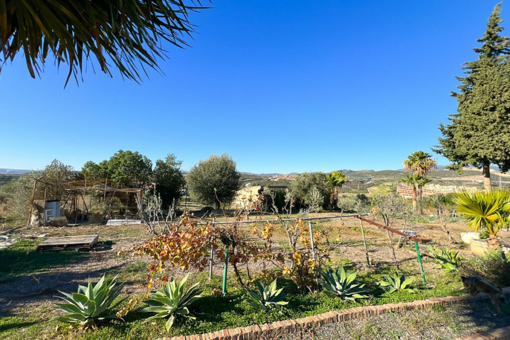 Detached Villa Estepona Málaga - image 46