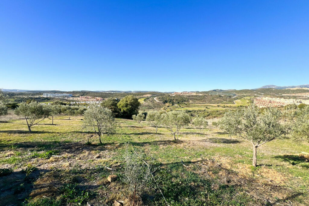 Detached Villa Estepona Málaga - image 47