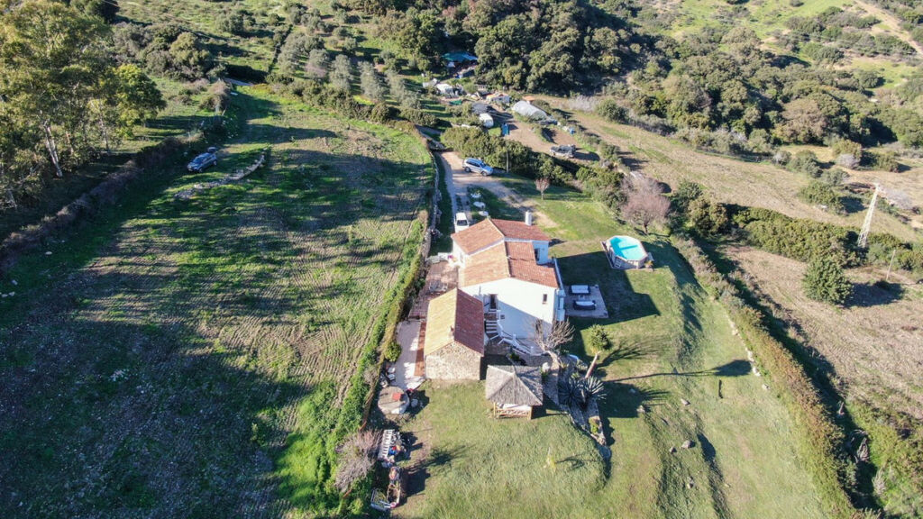 Finca - Cortijo Casares Málaga - image 44