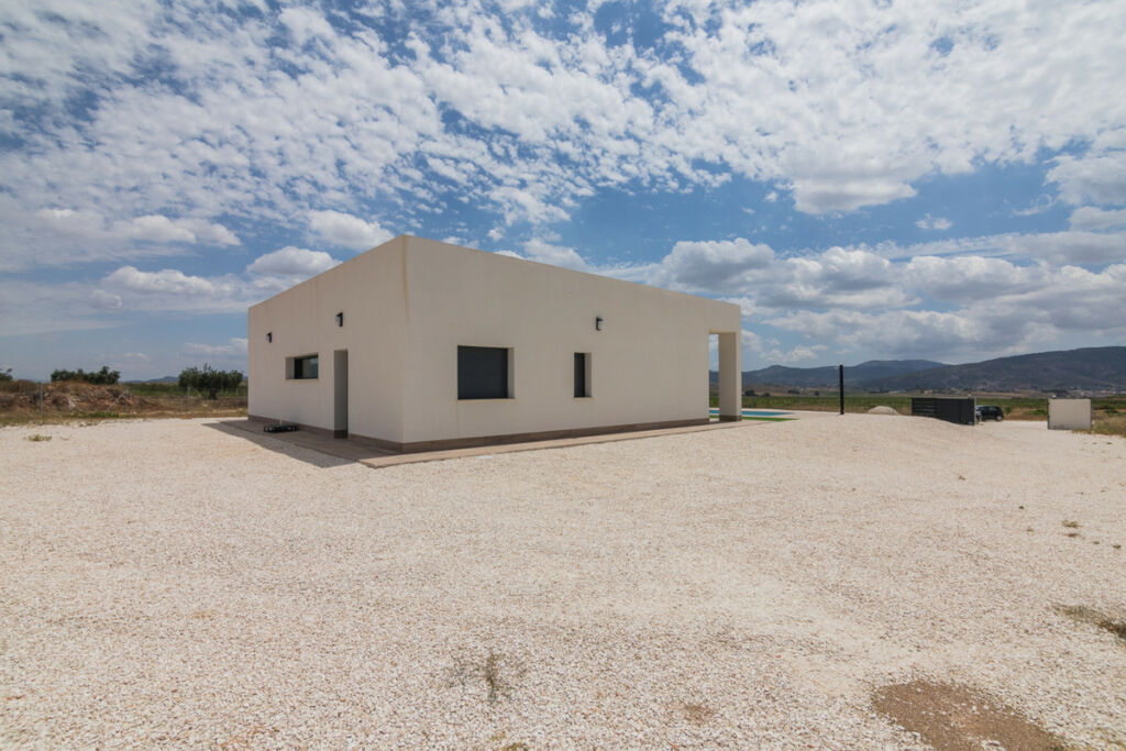 Detached Villa Aspe Alicante - image 44
