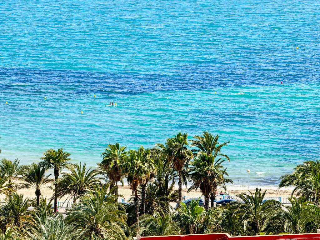 Middle Floor Apartment Torrevieja Alicante - image 44