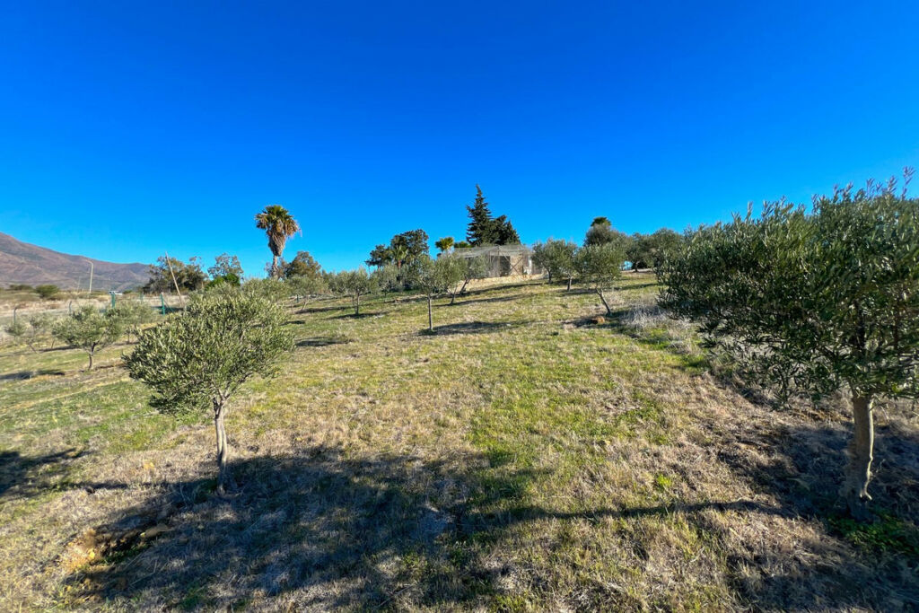 Detached Villa Estepona Málaga - image 51