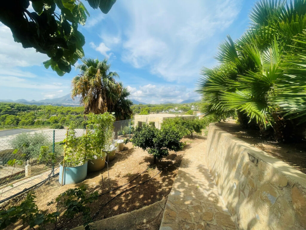Detached Villa Altea Alicante - image 47