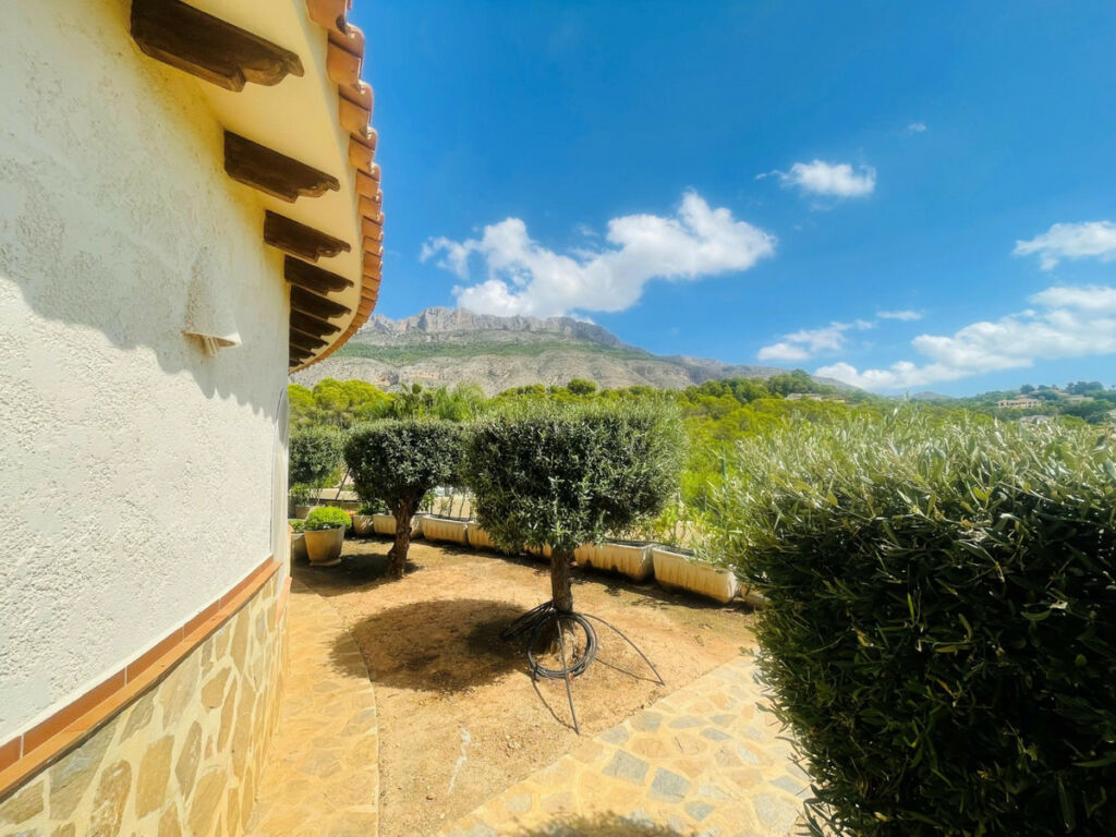 Detached Villa Altea Alicante - image 48