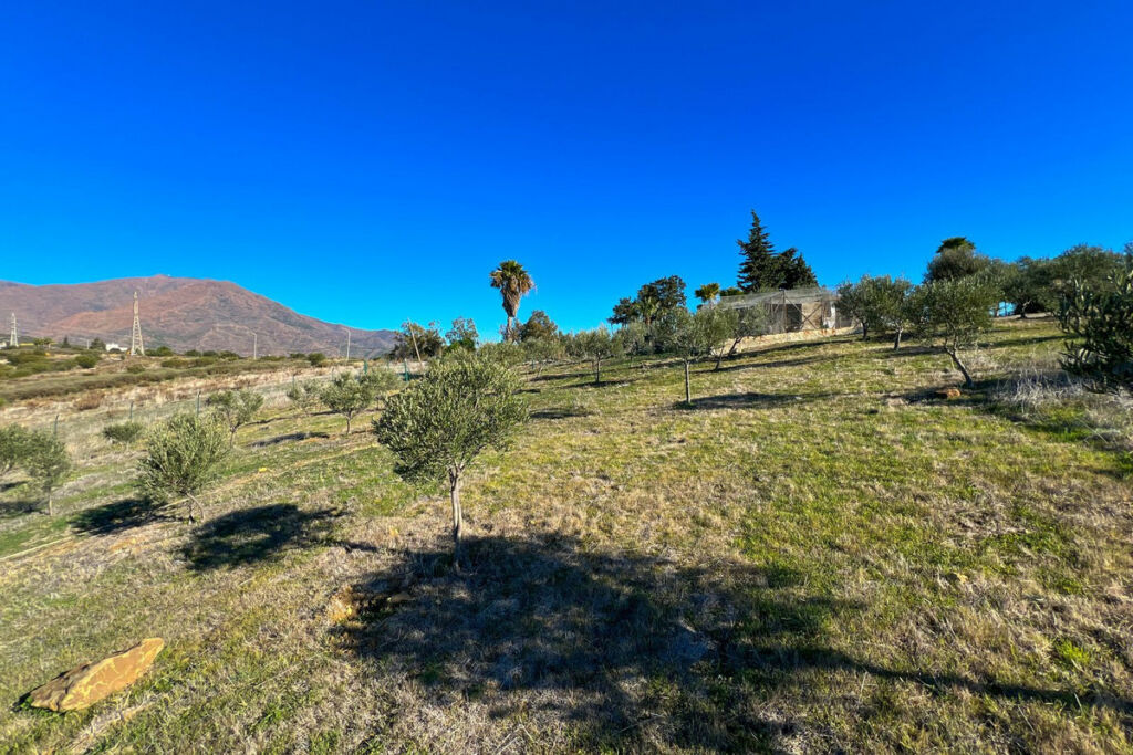 Detached Villa Estepona Málaga - image 52