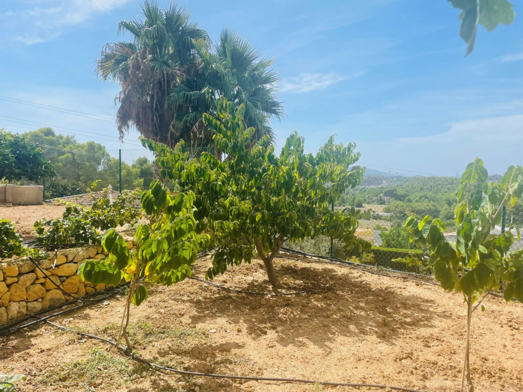 Detached Villa Altea Alicante - image 49