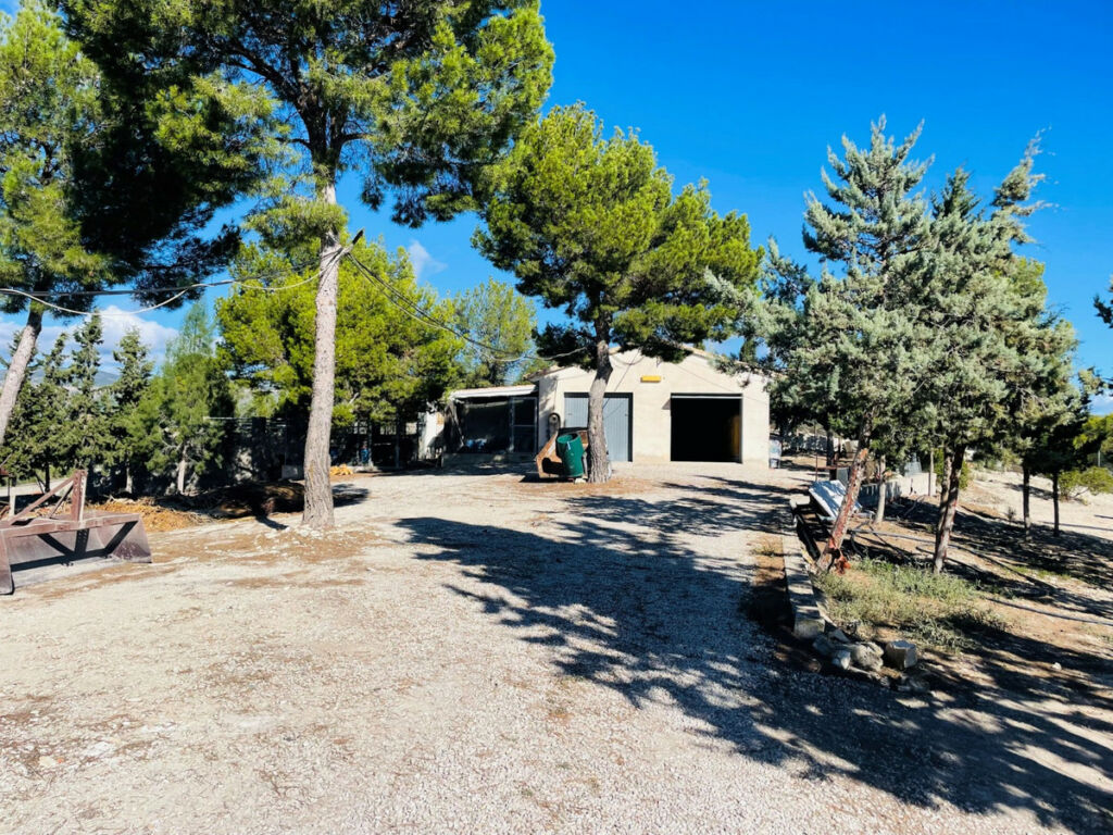 Finca - Cortijo Jijona Alicante - image 5