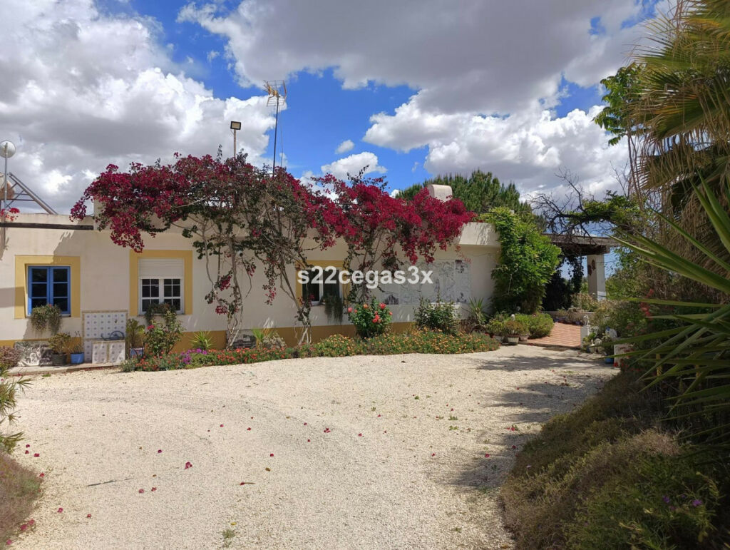 Finca - Cortijo Matola Alicante - image 5