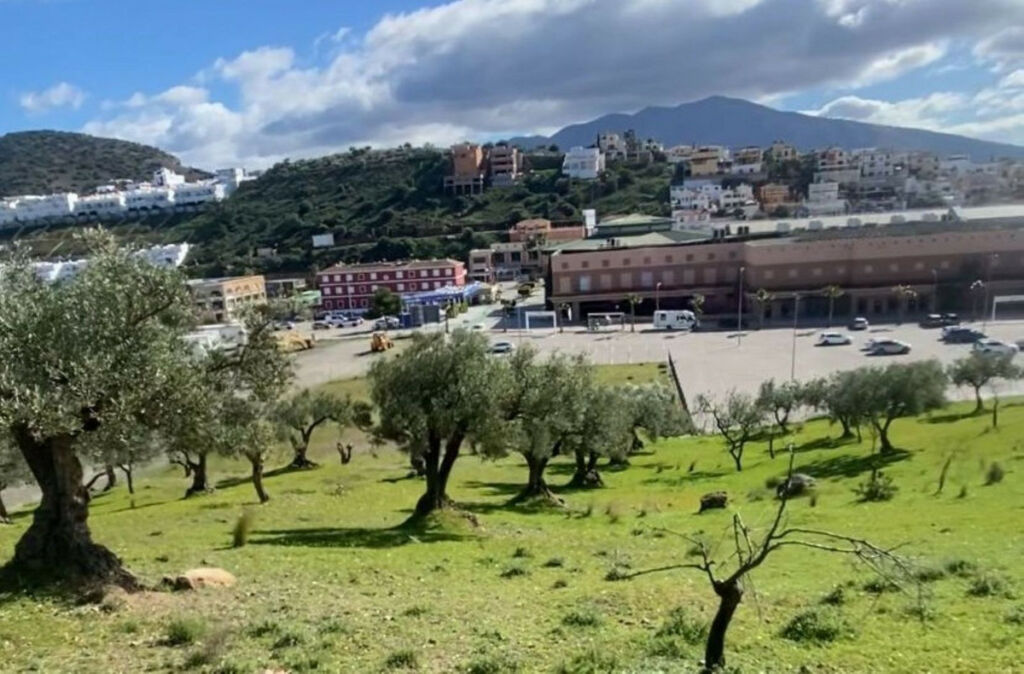 Residential Plot Coín Málaga - image 5