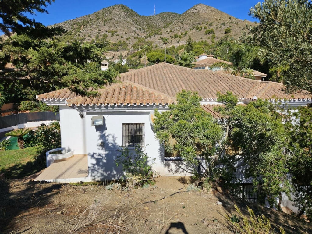 Detached Villa Benalmadena Málaga - image 50