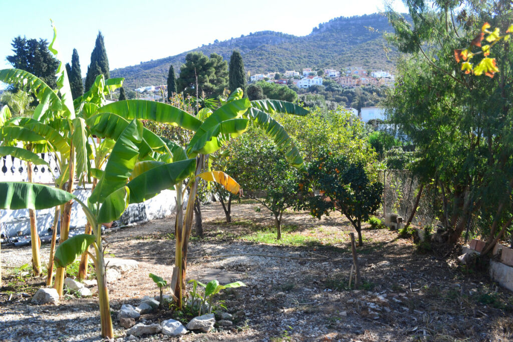 Detached Villa Alhaurín de la Torre Málaga - image 51