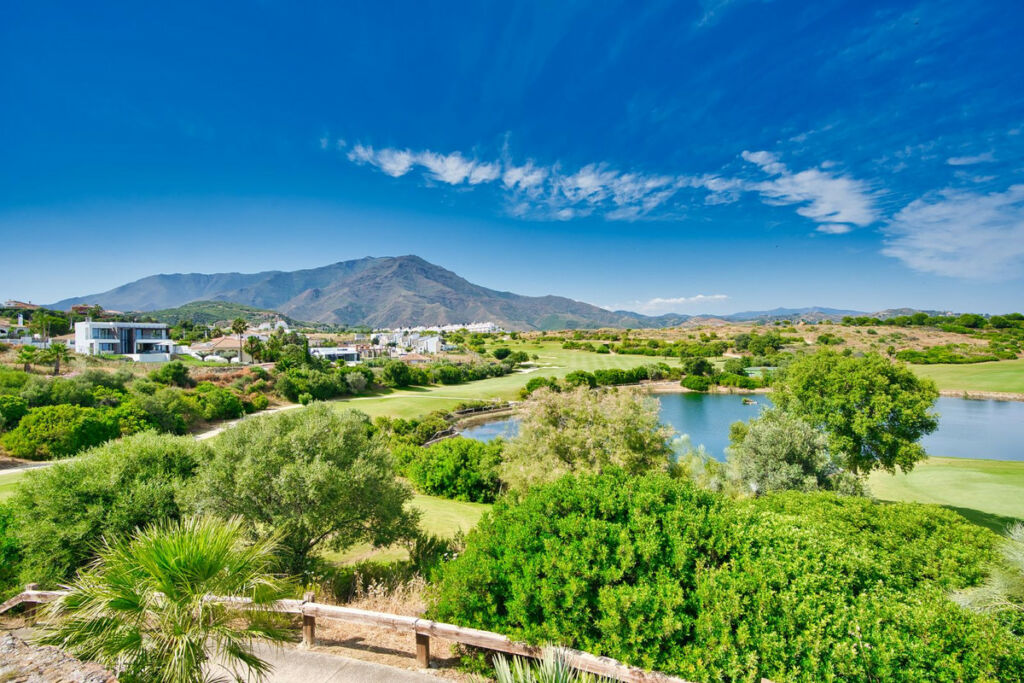 Detached Villa Estepona Málaga - image 56