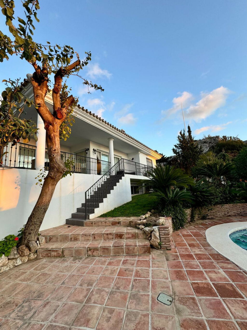 Detached Villa Benalmadena Málaga - image 59