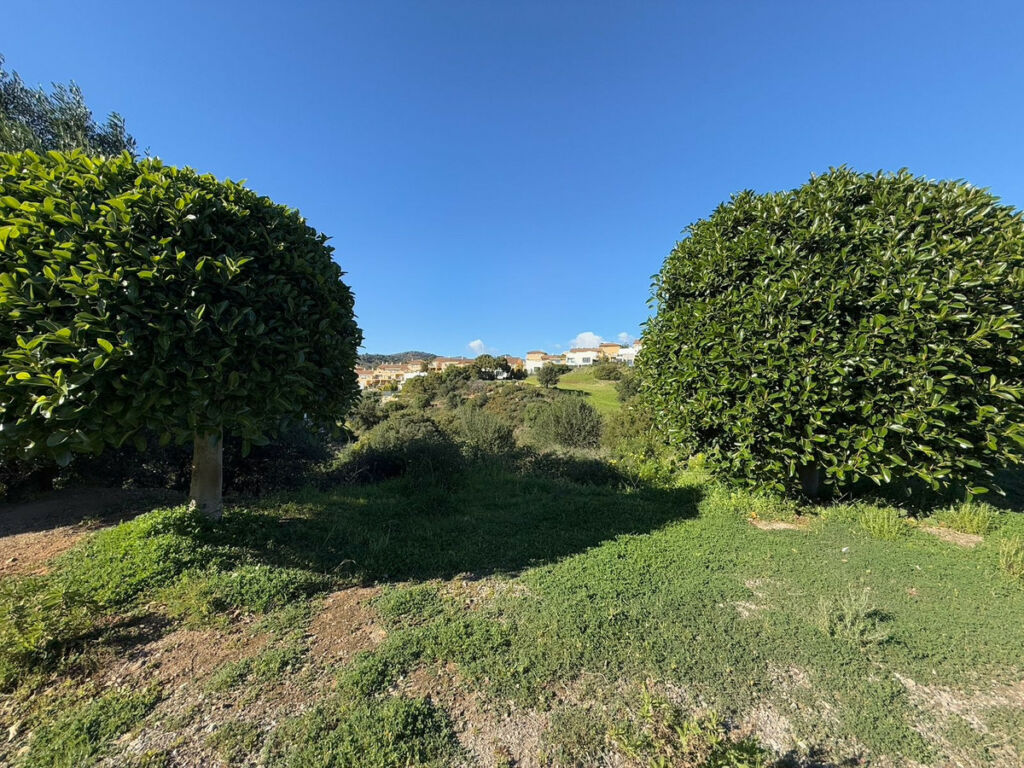 Land Estepona Málaga - image 6