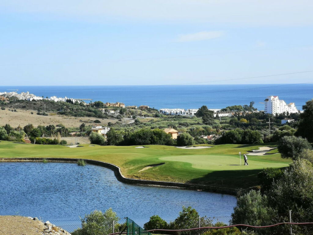 Detached Villa Estepona Málaga - image 6