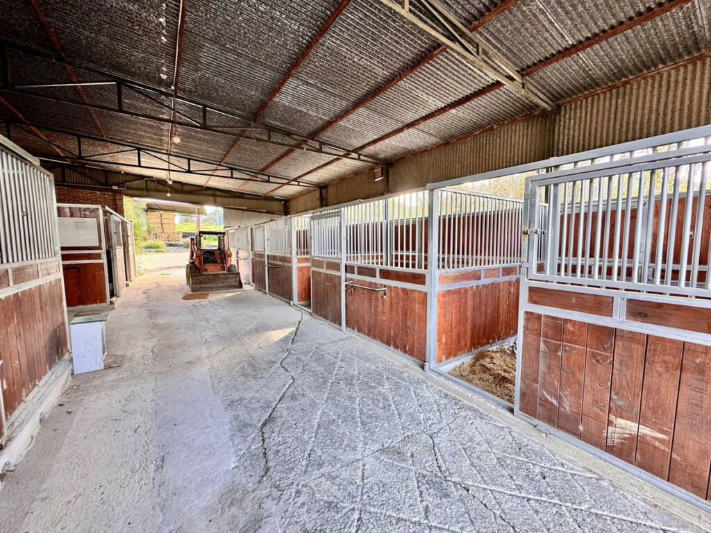 Finca - Cortijo Coín Málaga - image 6