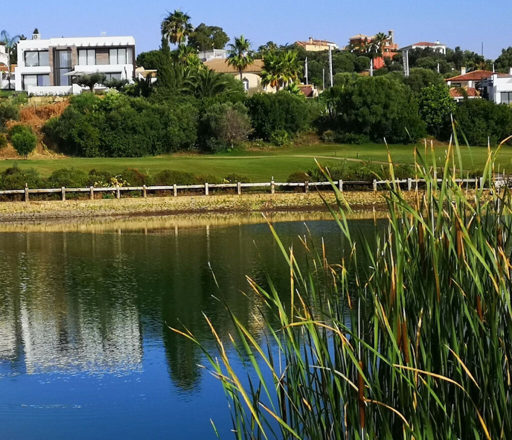 Detached Villa Estepona Málaga - image 8
