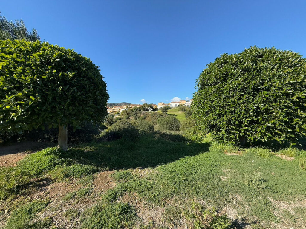 Land Estepona Málaga - image 8