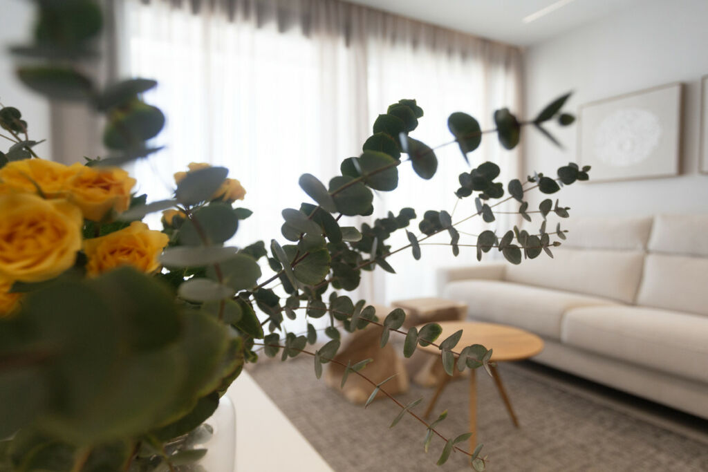 Ground Floor Apartment Denia Alicante - image 8