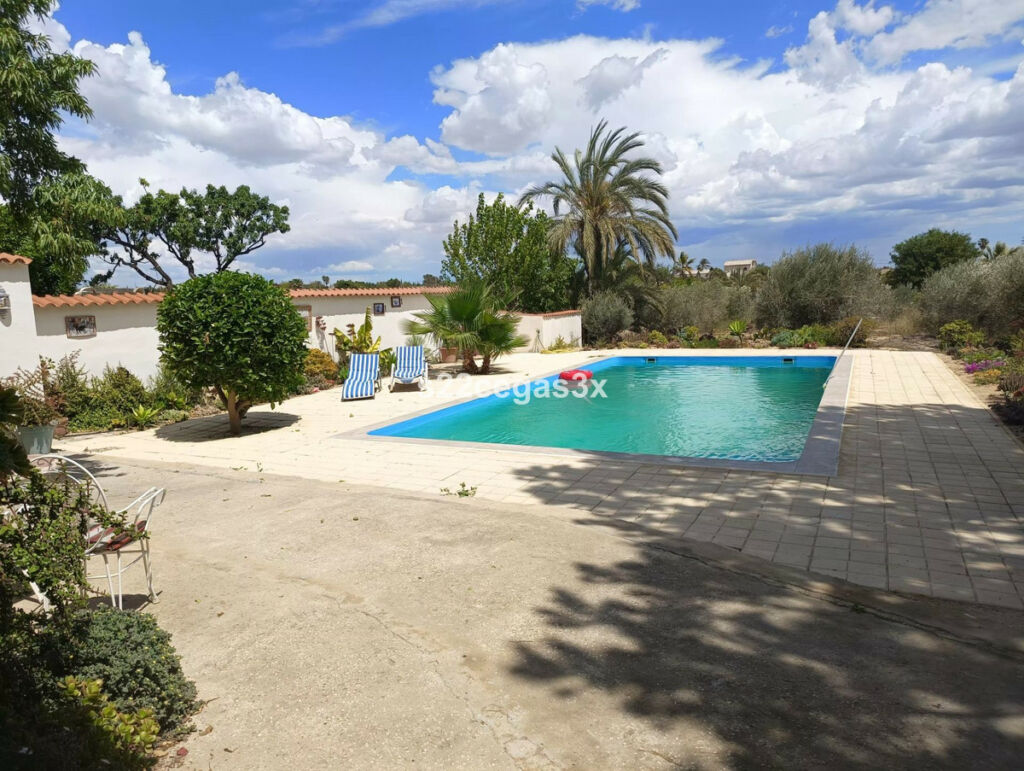 Finca - Cortijo Matola Alicante - image 8