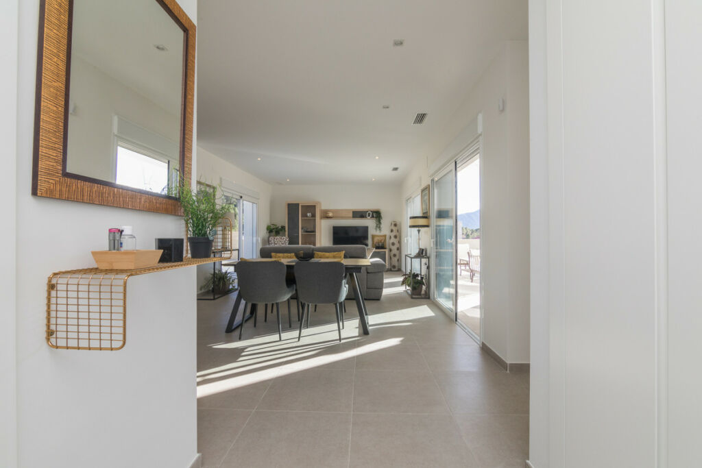 Detached Villa Aspe Alicante - image 9