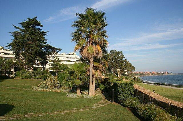 Townhouse Estepona Málaga - image 9
