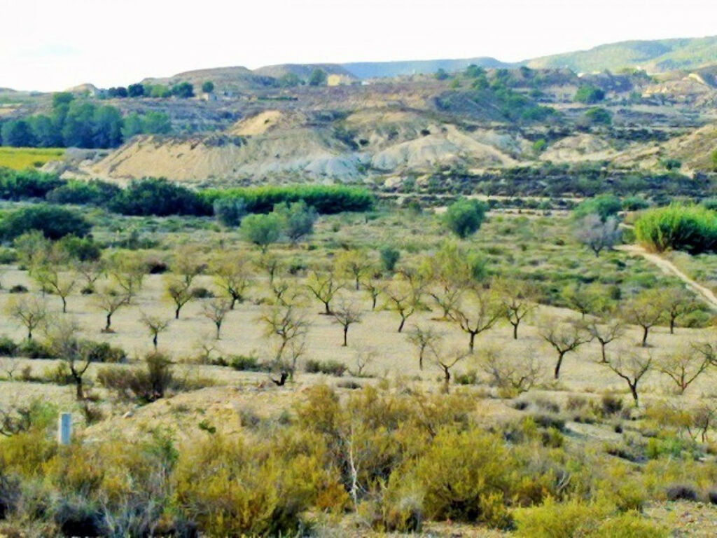 Land Torremendo Alicante