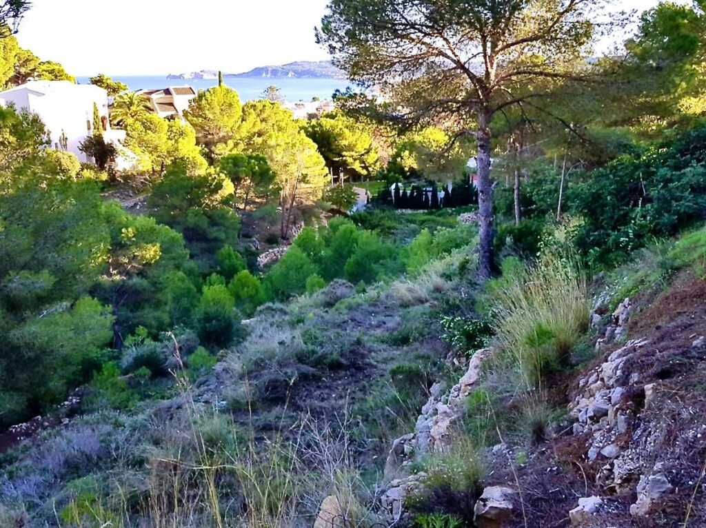 Land Javea Alicante