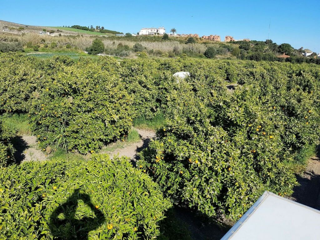 Finca - Cortijo San Luis de Sabinillas Málaga