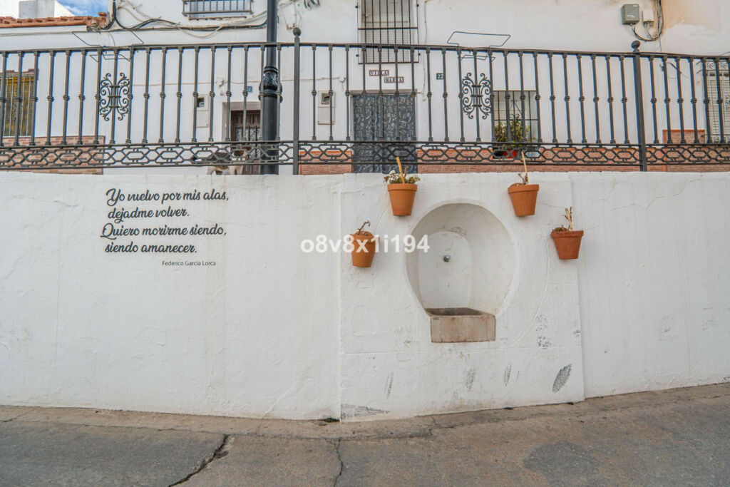 Detached Villa Pizarra Málaga