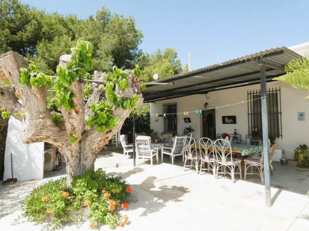 Finca - Cortijo Dolores Alicante