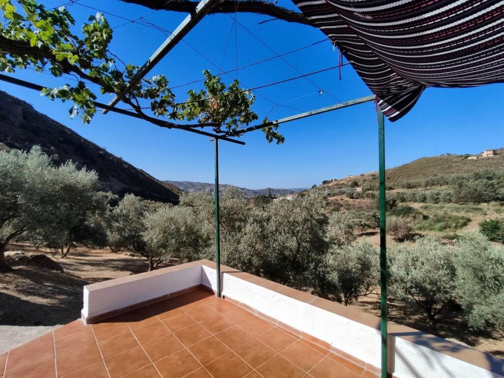 Detached Villa Alcaucín Málaga - image 10