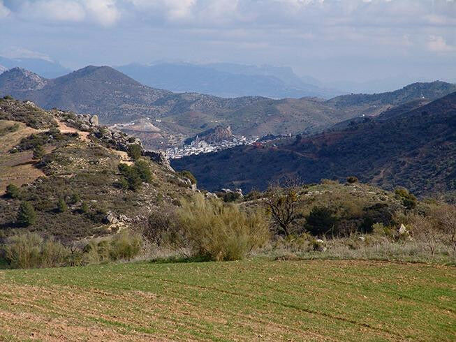 Finca - Cortijo Ardales Málaga - image 10