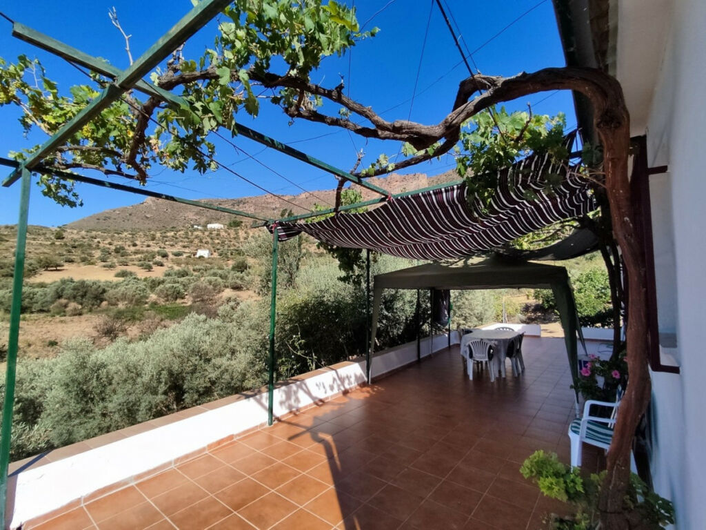 Detached Villa Alcaucín Málaga - image 11
