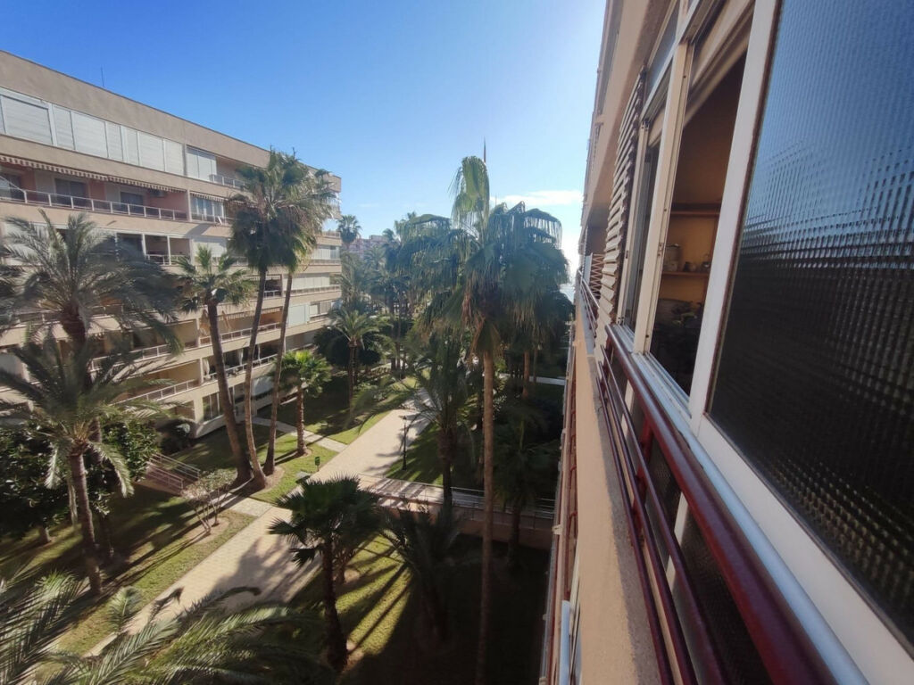 Middle Floor Apartment Torrevieja Alicante - image 12