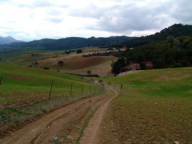 Finca - Cortijo Ardales Málaga - image 12