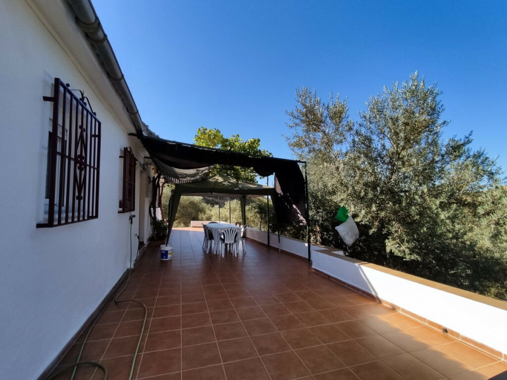 Detached Villa Alcaucín Málaga - image 12