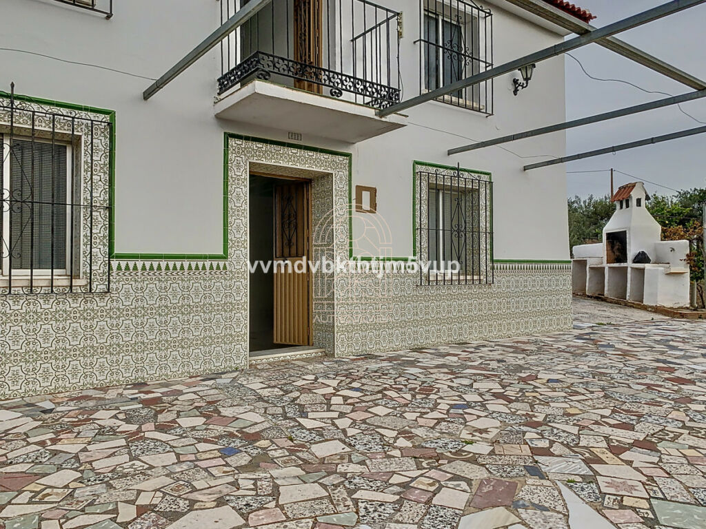 Finca - Cortijo Comares Málaga - image 13