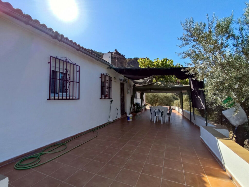 Detached Villa Alcaucín Málaga - image 13