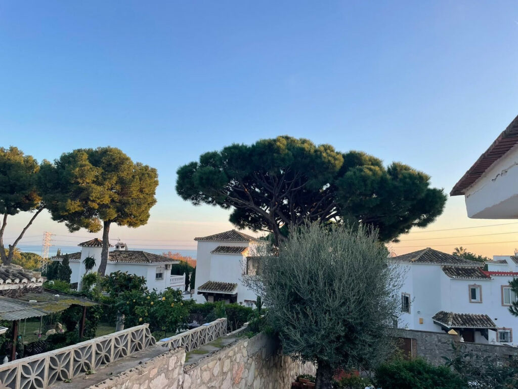 Detached Villa Calahonda Málaga - image 14