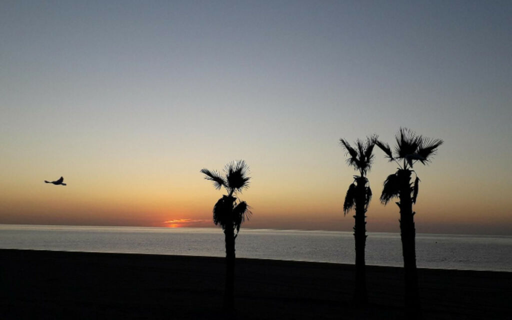Hostel Estepona Málaga - image 15