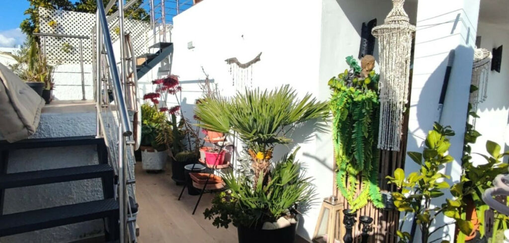 Semi-Detached House Estepona Málaga - image 15