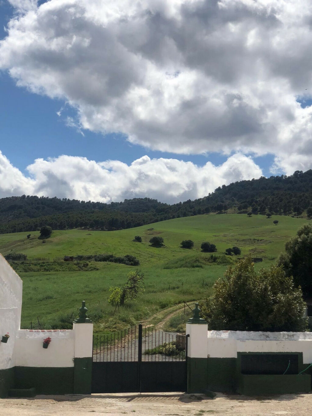 Finca - Cortijo Ardales Málaga - image 16