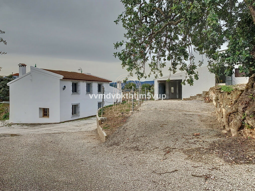 Finca - Cortijo Comares Málaga - image 16