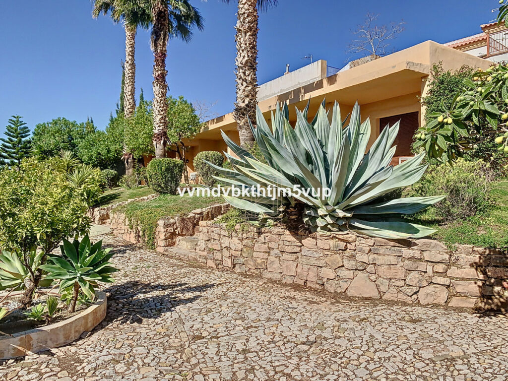 Finca - Cortijo Alcaucín Málaga - image 16