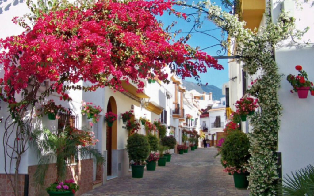 Hostel Estepona Málaga - image 16