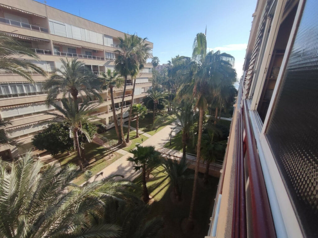 Middle Floor Apartment Torrevieja Alicante - image 16