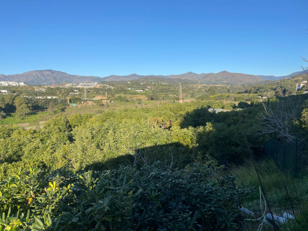 Finca - Cortijo Estepona Málaga - image 17