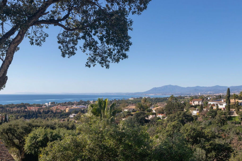 Detached Villa Elviria Málaga - image 19