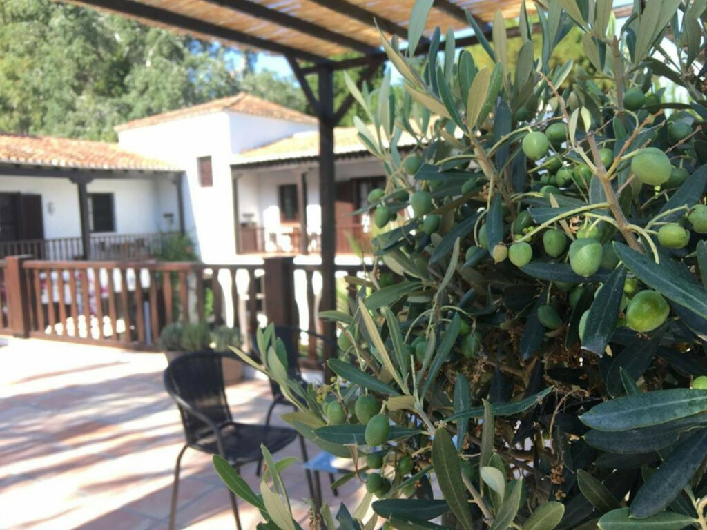 Finca - Cortijo Estepona Málaga - image 19